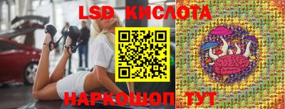 apvp Камышлов