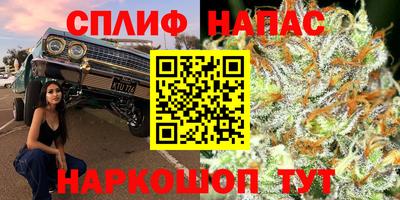apvp Камышлов