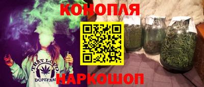 apvp Камышлов