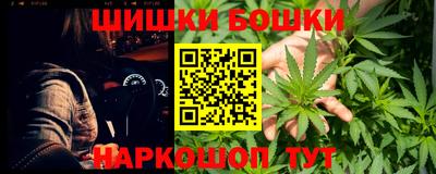 apvp Камышлов